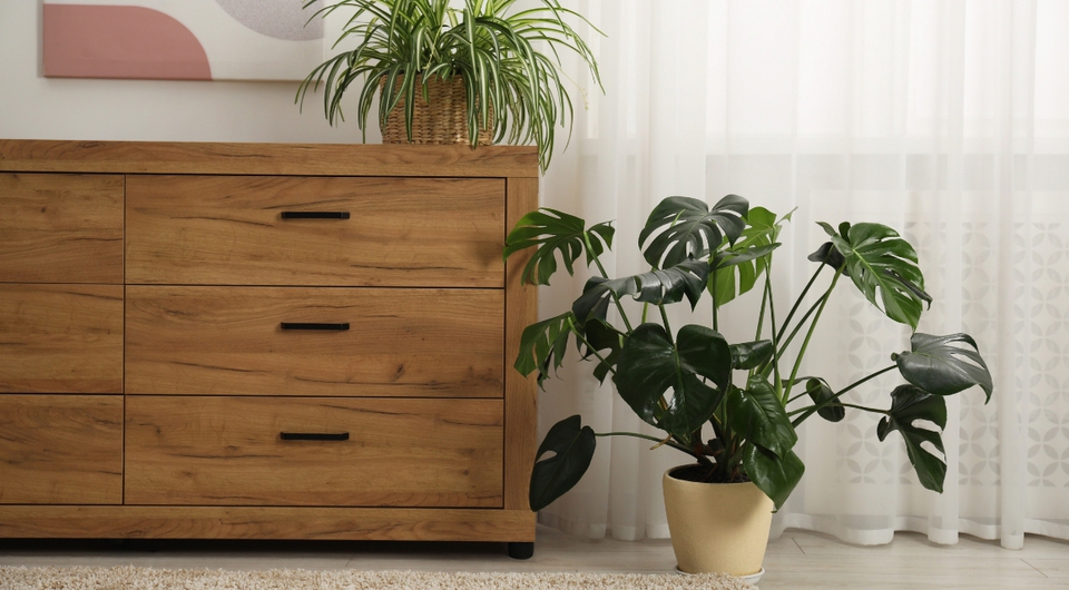 bodentiefe Kommode aus Holz mit 2 Pflanzen 