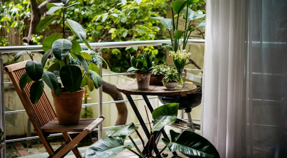 Ein Balkon mit einem Holztisch und Stuhl, auf denen viele verschiedene Blument&ouml;pfe mit Gr&uuml;npflanzen stehen.