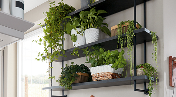 Regalsysteme von MONDO