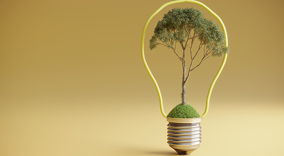 Symbolische Glühbirne mit einem darin wachsenden Baum als Konzept für nachhaltige Energie und Umweltbewusstsein. 