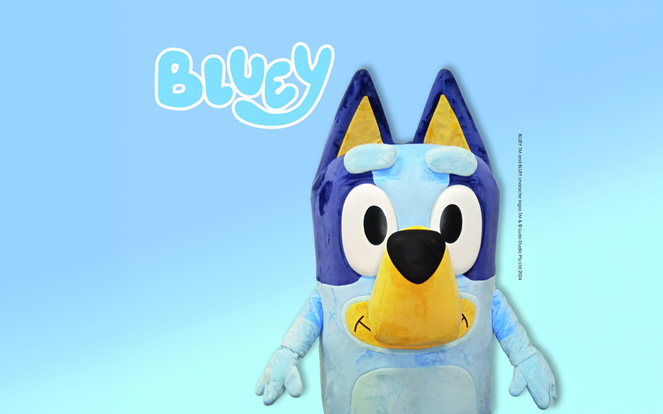 Bluey