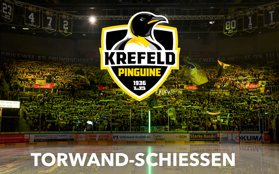 Eishockey Krefeld Pinguine