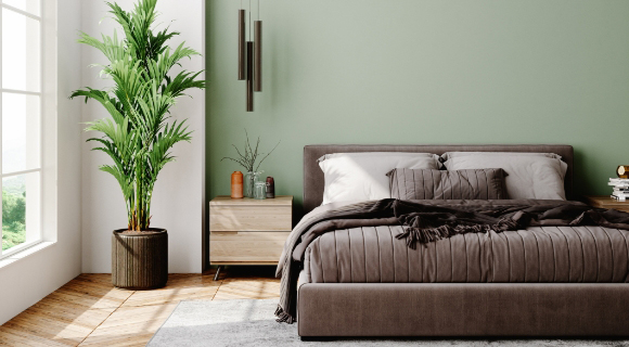 Modernes Schlafzimmer mit Polsterbett in Taupe, hellgrüner Wand, Holzfußboden und großer Zimmerpflanze am Fenster