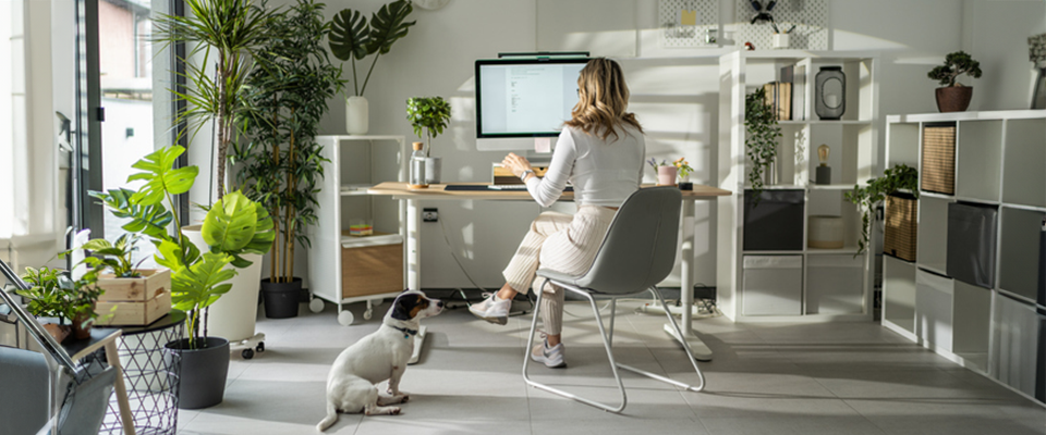 Helles Arbeitszimmer mit Computer, Regalen und Grünpflanzen, Person tippt am Schreibtisch, Hund schaut zu.