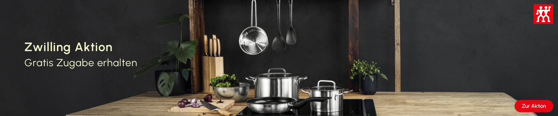 Zwilling Aktion Zugabe Gratis
