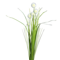 Kugelgras 70cm