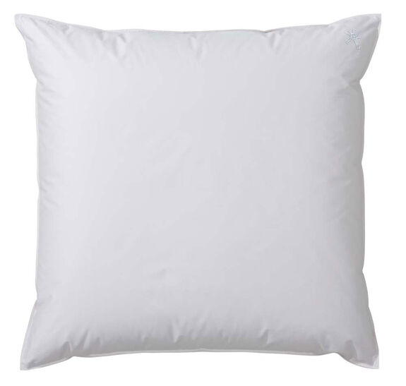 CENTA-STAR Kissen Medium 900g