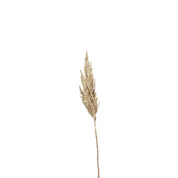 Pampas-Wedel