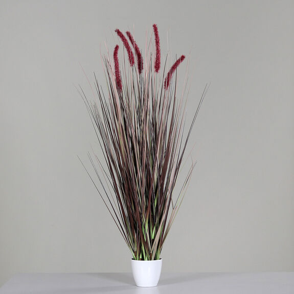 DPI Gras m. Fruchtstand 95cm