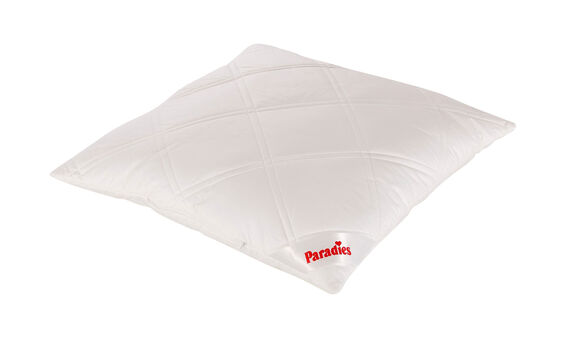 Paradies Kopfkissen 900g