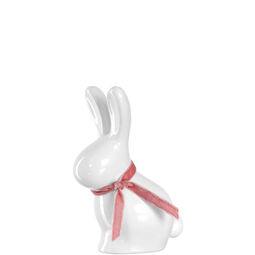 Hase