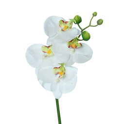Orchideenzweig 46cm