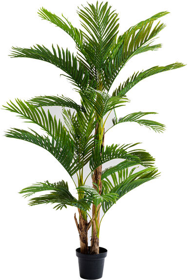 Kare-Design Dekopflanze 190cm