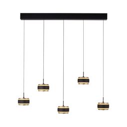 Paul Neuhaus LED-Pendelleuchte 5flg