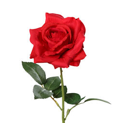 DPI Rose 68cm