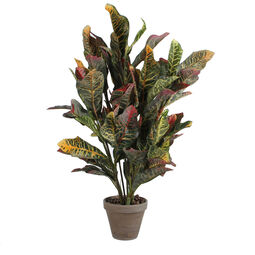 Edelman Grünpflanze 73cm