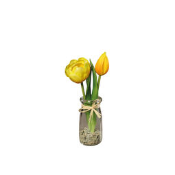 Tulpen im Glas