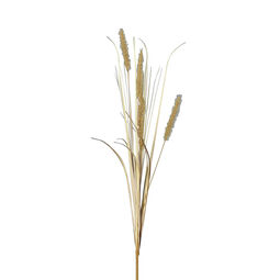 Gras 76cm