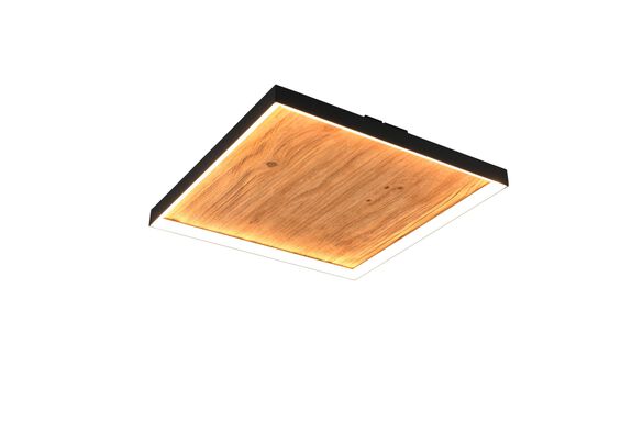 Trio Leuchten LED-Deckenleuchte 1flg