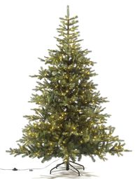 EVERLANDS Tannenbaum 210cm
