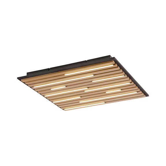 Paul Neuhaus LED-Wand- u.Deckenleuchte 1flg