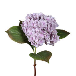 DPI Hortensie 52cm
