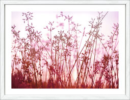 Pro Art Kunstdruck gerahmt 32.5x42.5cm