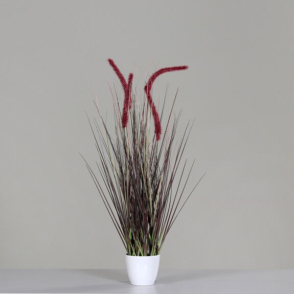 DPI Gras m. Fruchtstand 70cm