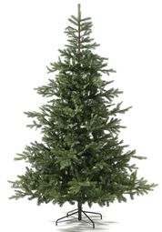 EVERLANDS Tannenbaum 240cm EVERLANDS Tannenbaum 240cm