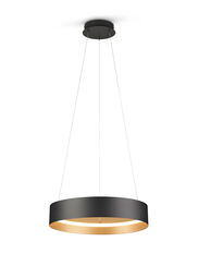 Musterring LED-Pendelleuchte 1flg