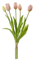 Kunst - Tulpenbund