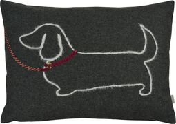 Sander Kissenh&uuml;lle