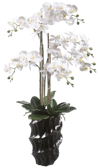 casa NOVA Orchidee 110cm