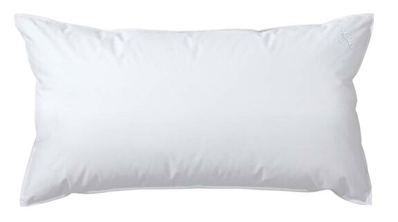 CENTA-STAR Kissen Medium 450g