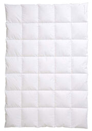 CENTA-STAR Dauneneinziehdecke 780g