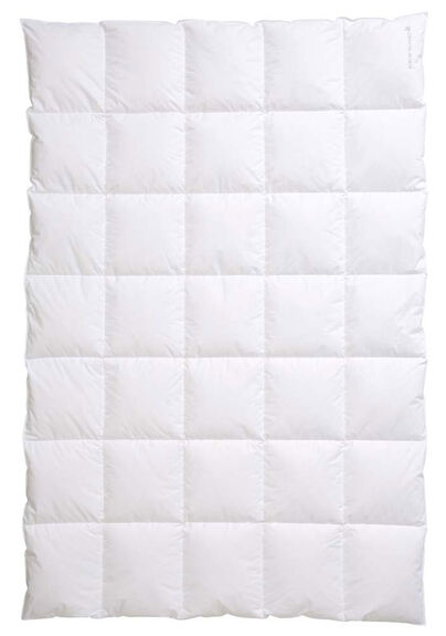 CENTA-STAR Dauneneinziehdecke 780g