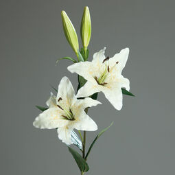 Promotion-Lilie 84cm