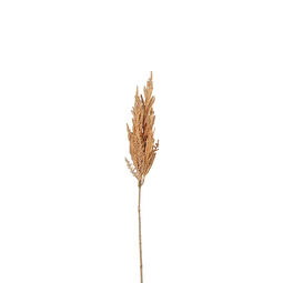 Pampas-Wedel
