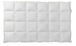 CENTA-STAR Ganzjahresbett 640g