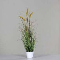DPI Gras m. Fruchtstand 75cm