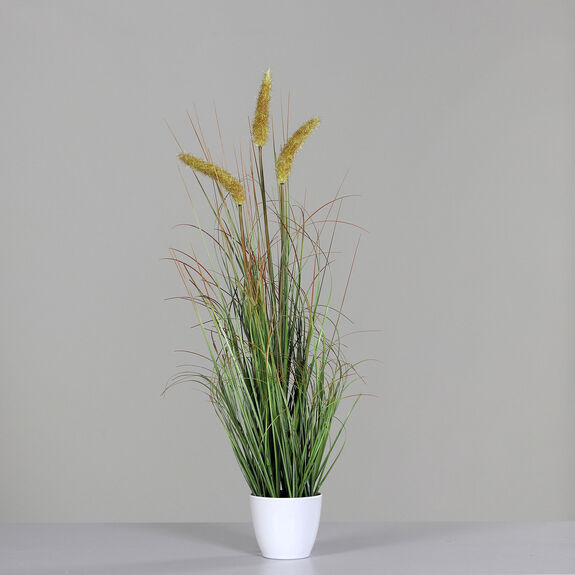 DPI Gras m. Fruchtstand 75cm