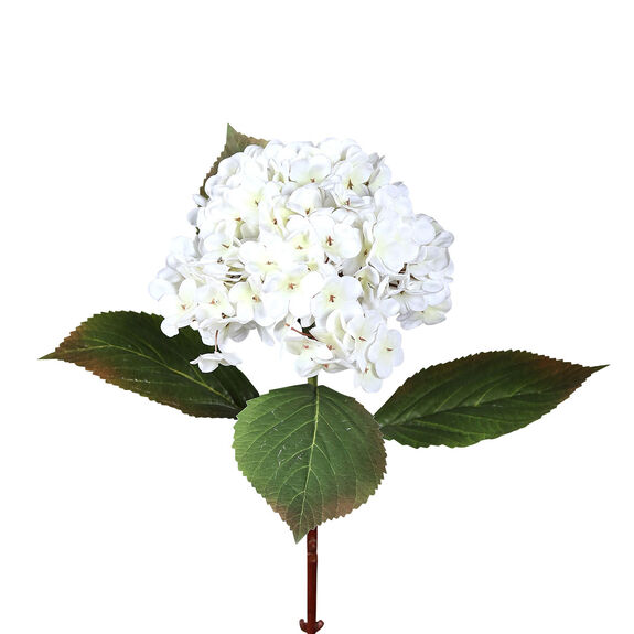 DPI Hortensie 52cm