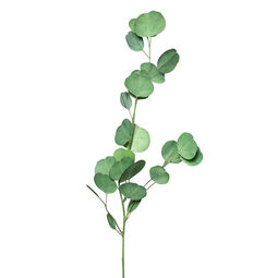 DPI Eukalyptuszweig 75cm
