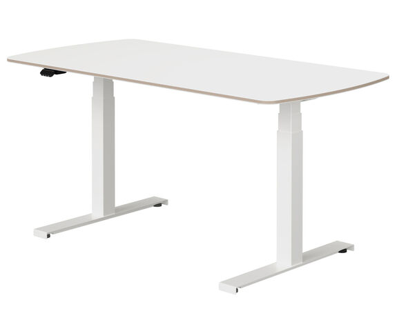 PAIDI E-Schreibtisch
