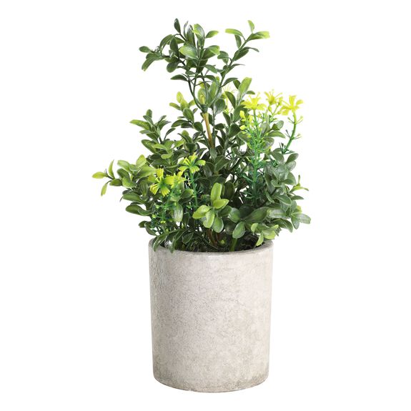 EGLO Living Kunstpflanze 25cm