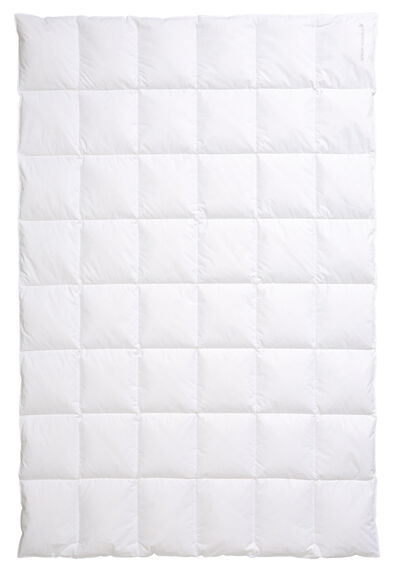 CENTA-STAR Dauneneinziehdecke 420g