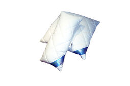 Kopfkissen 500g