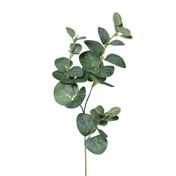Eukalyptuszweig 64cm