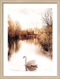 Pro Art Kunstdruck gerahmt 32,5x42,5cm