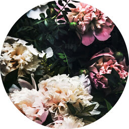 Glasbild rund 30x30cm